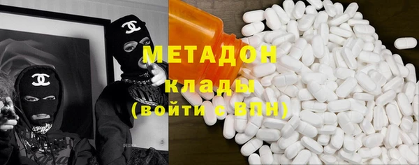 шишки Верея