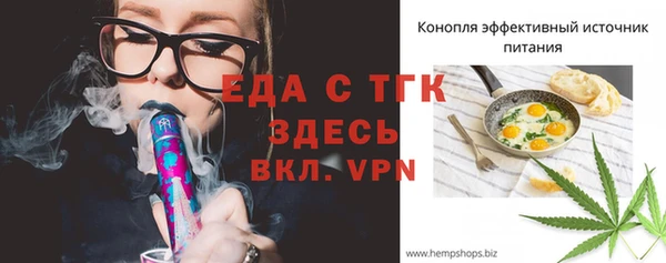 шишки Верея