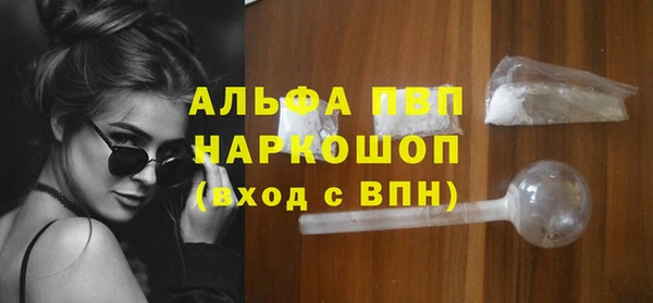 шишки Верея
