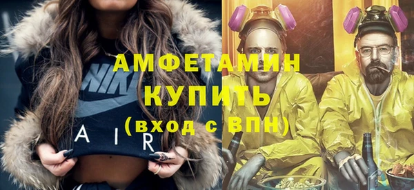 шишки Верея