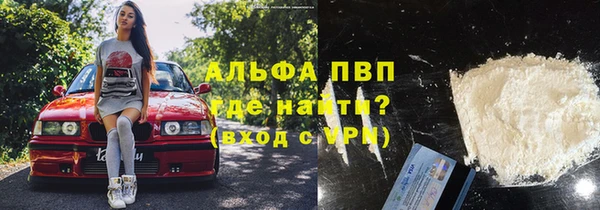 шишки Верея