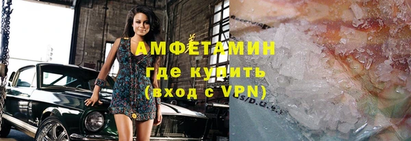 шишки Верея