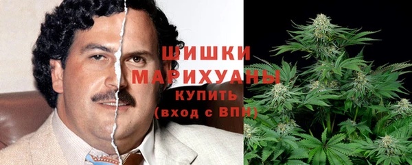 шишки Верея