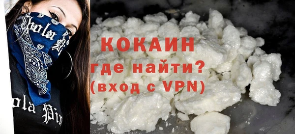 шишки Верея
