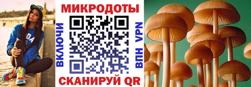 Галлюциногенные грибы ЛСД  продажа наркотиков  Губкинский 